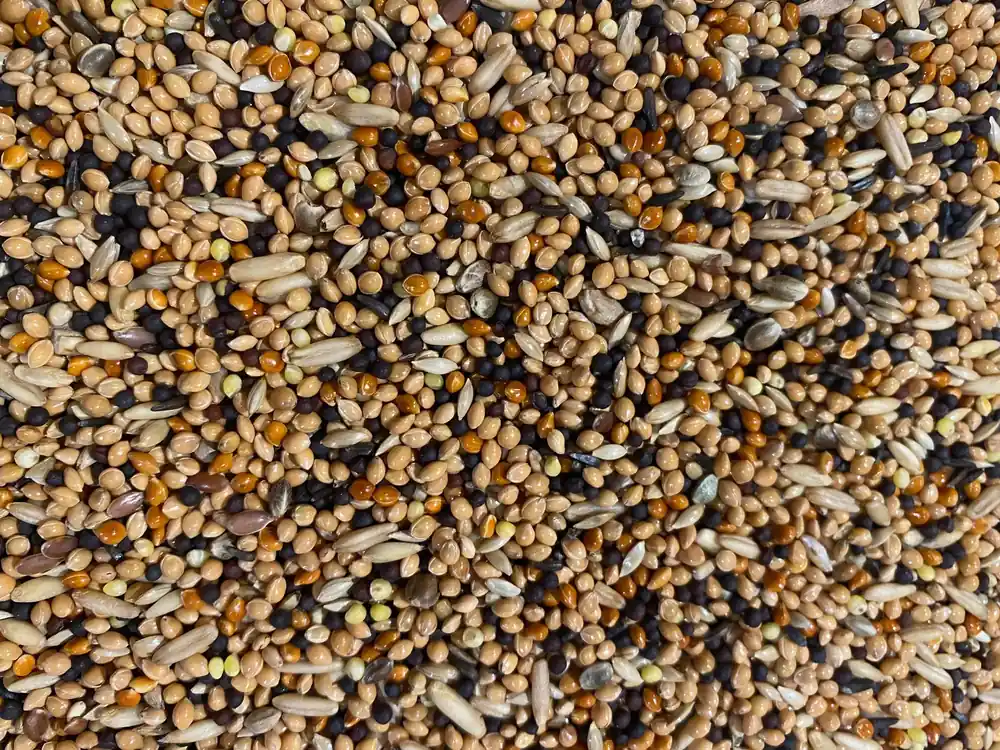 Boer Volièrezaad 5 kilo Exclusieve Aanbieding